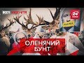 Проти чого протестують олені, Вєсті Кремля. Слівкі, Частина 2, 20 квітня 2019