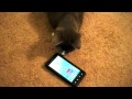 Cute Kitten Plays Android Game Apps on Droid X