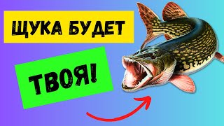 ЭТОГО СЕКРЕТА НЕ ЗНАЮТ МНОГИЕ! КАК ПРАВИЛЬНО ЛОВИТЬ ЩУКУ НА ЖИВЦА