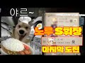 노루 S다시 또 도전