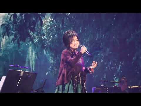 齐豫 - 走在雨中（豫见·Embracing 2026）