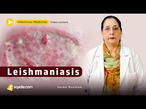 Video: Dermatitis Papular Akibat Infeksi Leishmania Infantum Pada Tujuh Belas Anjing: Gambaran Diagnostik, Luasnya Infeksi, Dan Hasil Perawatan