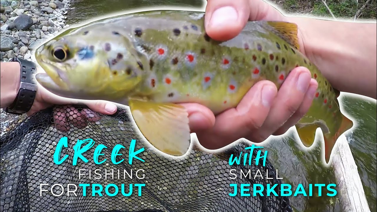 Creek Fishing For Trout With Small Jerkbaits 