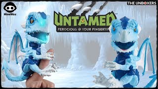 Meet Freezer the Untamed Fingerlings Ice Dragon