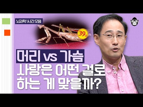 (60분) 사랑해서 심장이 뛰는 걸까? 심장이 뛰어서 사랑하게 되는 걸까? | 사피엔스 월요특강