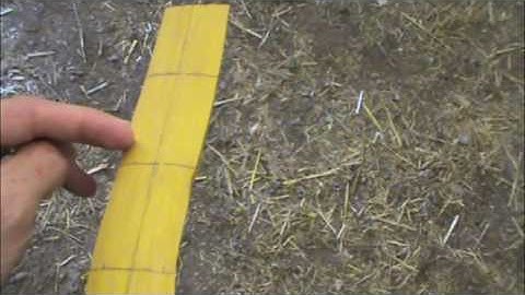 Making an Osage Selfbow - Part 2