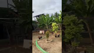 VID-20240604-WA0014