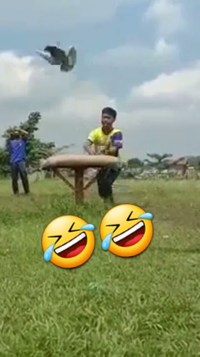 Kejadian Lucu Saat Lomba Merpati Kolong #shorts #merpati #dara #viral