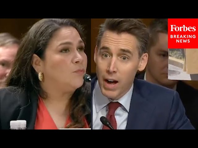 'Shouldn't We Be Deporting These Students?': Hawley Questions Witness About Non-Citizen Protesters class=