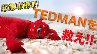 Tedmanを救え 夏の必需品 超快適ドライアイテムコレクション エフ商会 テッドマン カミナリ 暑さ対策 熱中症予防 機能素材Ｔシャツ