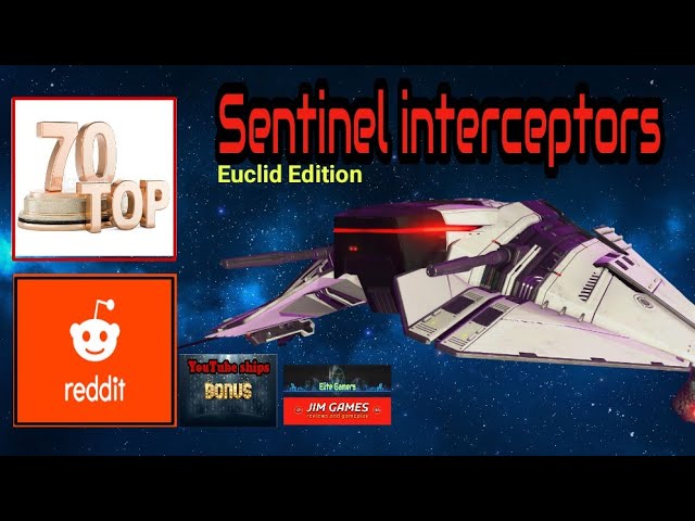 Sentinel Interceptor 1  No Man's Sky Café Amino