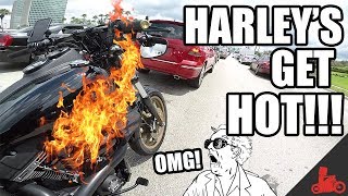 Harley's get HOT! Monitoring Engine Temps Vol. 01 - Harley Dyna Low Rider S