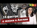 Факты о жизни в Англии или как Настя встретила оленя в Бирмингеме | Puzzle English