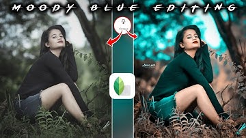 Snapseed Moody Blue Photo Editing 2021|| Snapseed Photo Editing||Lightroom Photo Editing||Lr Editing