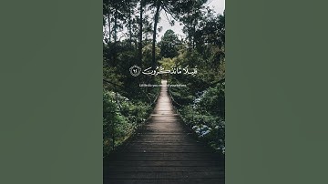 ( أمن يجيب المضطر اذا دعاه…)، سورة النمل الآية 62، بصوت الشيخ ياسر الدوسري #القرآن_الكريم