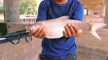 Câu Lancer tại cống Vĩnh Kim [Câu Lăng xê] | Na Kim Vlog