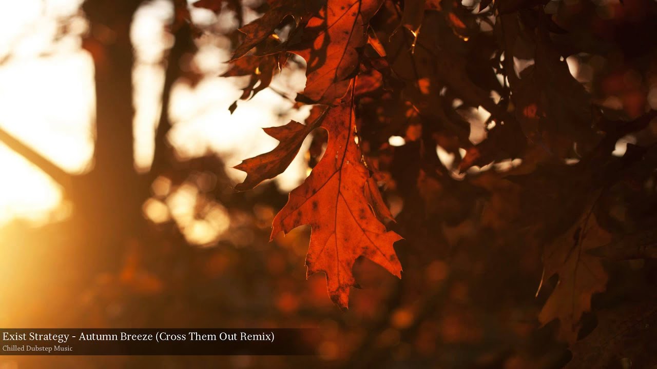 Exist Strategy - Autumn Breeze (Cross Them Out Remix)