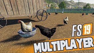 COCOSUL Asta BABARDESTE 399 GAINI | FS19 Multiplayer Ep.8