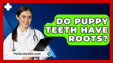 Do Puppy Teeth Have Roots? - PetGuide360.com