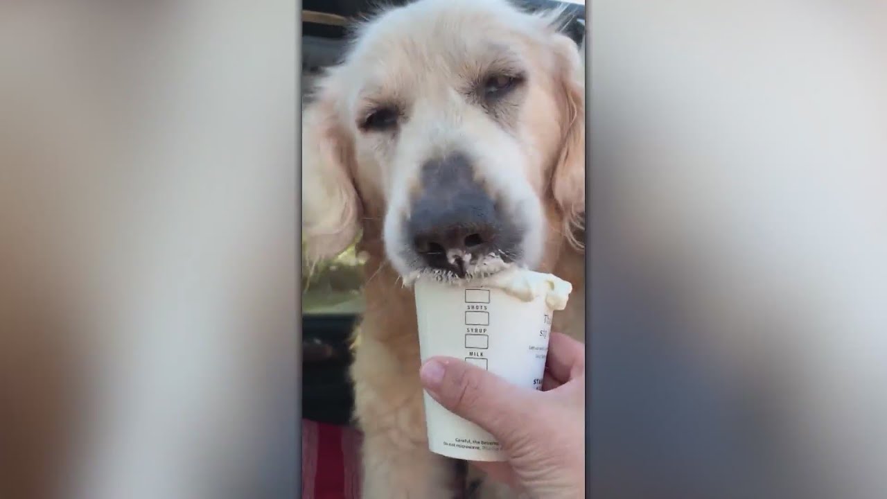 Feel Good Friday: Top 10 Feel Good Stories of the Year