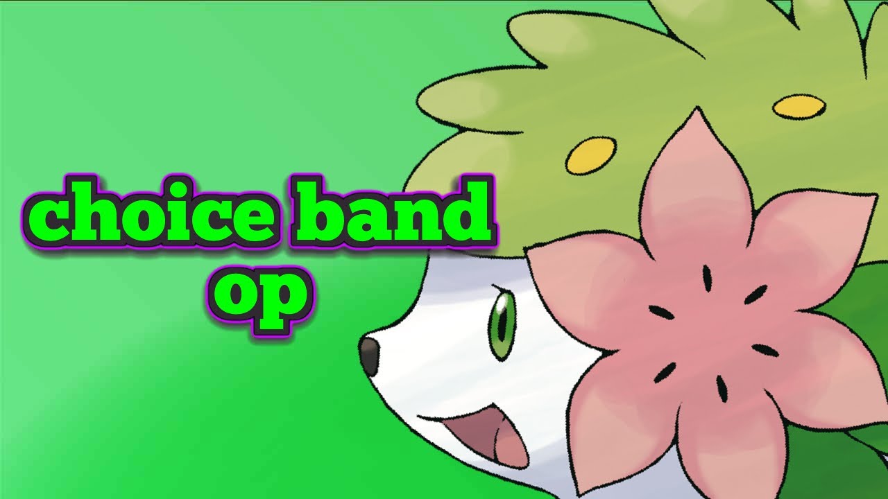 Choice Band Leech Seed Shaymin?! 