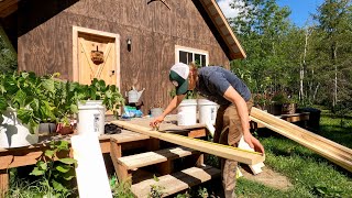 Off Grid Cabin Living: A Garden Update And Building A Butcher Block