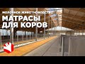 Обустройство молочной фермы | Матрасы для коров | Молочное животноводство