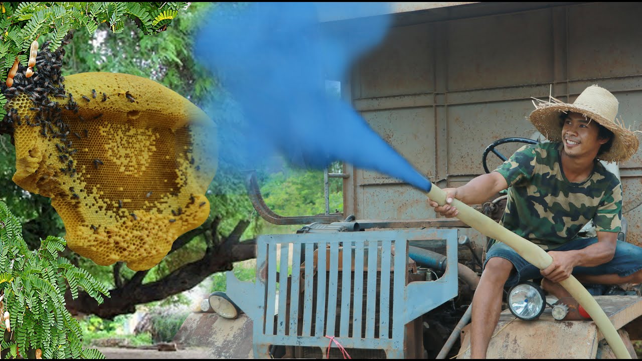 Wow Sweet honey mouth watering -  Wow weird Take the bees use smoke Truck