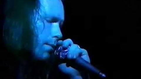 Cliff Morrison & Lizard Sun "Roadhouse Blues"