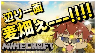 【#Minecraft 】♯38  麦畑を造るだけの配信です【#新人Vtuber】