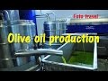 Olive oil production, Crete, Mochos / Производство оливкового масла, Крит, Мохос.