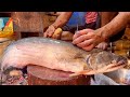 Amazing Big Wallago Catfish Cutting Live In Fish Market | Fish Cutting Skills