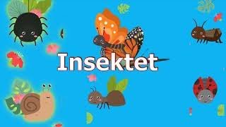 Insektet punëtore. Video për fëmijë në shqip.  Abc shqip Resimi