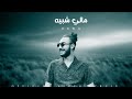 عروة مالي شبيه Orwa Mali Shabih Official Lyrics Video 