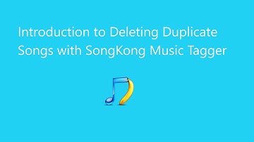 Introduction to Deleting Duplicate Songs with Song Kong Music Tagger