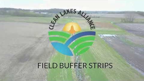 Clean Lakes Alliance - Field Buffer Strips