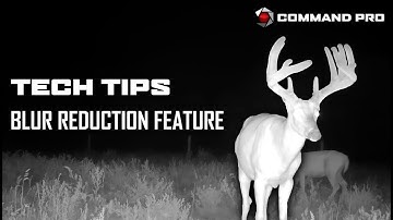 COMMAND PRO TECH TIP | Blure Reduction Feature