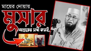 মুসার জান্নাতের সাথী | মুফতি নজরুল ইসলাম কাসেমী নতুন ওয়াজ ২০২৩ | Mufti Nazrul Islam Kasemi 2023