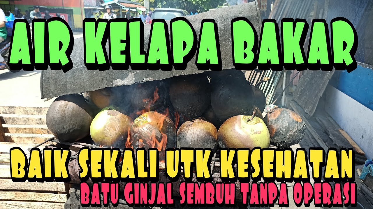 KHASIAT LUAR BIASA YG TERDAPAT PADA AIR KELAPA BAKAR // BATU GINJAL