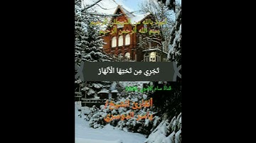 يَا أَيُّهَا الَّذِينَ آمَنُوا تُوبُوا إِلَى اللَّهِ تَوْبَةً نَّصُوحًا 🌴 قرآن كريم 🌴  سورة التحريم