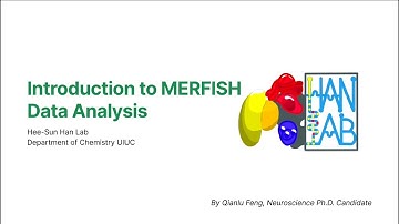 Foundations of Spatial Transcriptomics - Part 4 Introduction to MERFISH Data Analysis