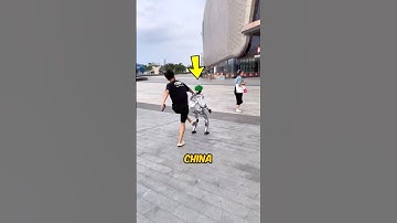 OS PIORES ROBÔS DO MUNDO              #tecnologia #china #viralshorts #viral #curiosidades