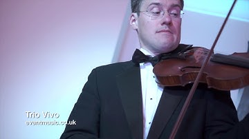 Danse des Mirlitons - Tchaikovsky (Violin, Cello & Piano - Trio Vivo)