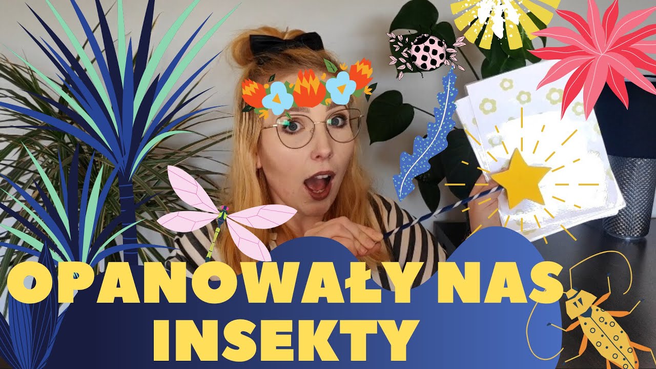 Kontrolny Sprawdzian J Angielski Kl 3 Insects INSECTS - LESSON FOR KIDS - INSEKTY - ANGIELSKI DLA DZIECI - YouTube
