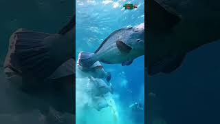 সেষ্ট দোয়া লাই লাহা ইল্লা # short islam