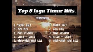 Top 5 Lagu Timur Hits| Top 5 Lagu Timur Hits Indonesia 2025|