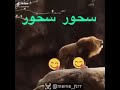 منبه السحور