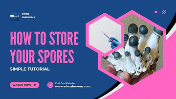 How To Store A Mushroom Spore Syringe