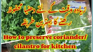 How to Preserve Coriander/Cilantro | Cilantro/Coriander storage | Store Coriander fresh for months
