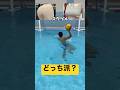 あなたはどっち派？？